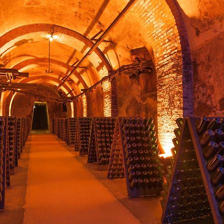 Champagne Central - Exceptionnel 3 Chambres Reims Luaran gambar